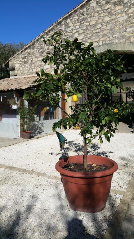 Le Clos Des Aramons Bernis Exteriér fotografie